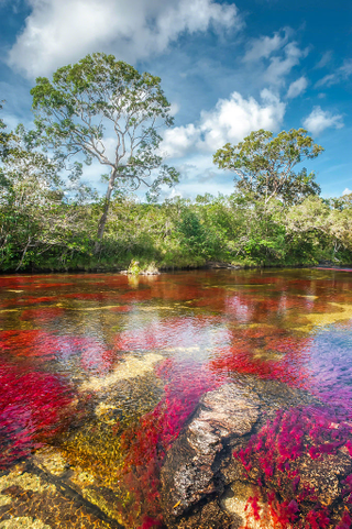 Illustration for article titled Absolutely Stunning Examples Of Lakes And Rivers With Unearthly Colors